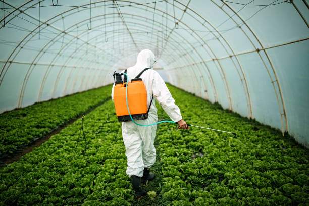 Best Pest Removal Services  in Alsip, IL
