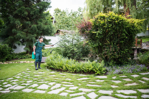 Best Best Pest Control Companies  in Alsip, IL