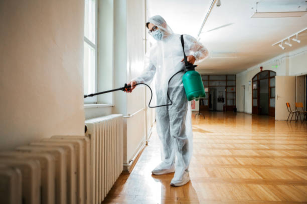 Best Mosquito Control Services  in Alsip, IL